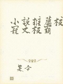 小说推荐校园甜宠文校霸