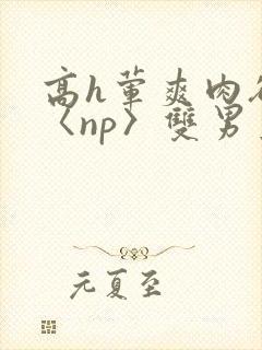 高h荤爽肉欲文〈np〉双男主