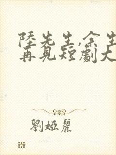 陆先生,余生不再见短剧大结局