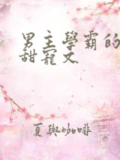 男主学霸的校园甜宠文