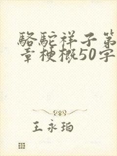 骆驼祥子第13章梗概50字