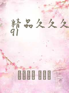 精品久久久久久91
