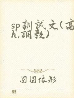 sp训诫文(高h,调教)