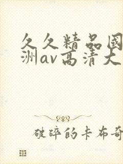 久久精品国产亚洲av高清大结局