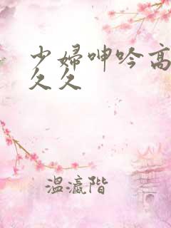 少妇呻吟高潮久久久