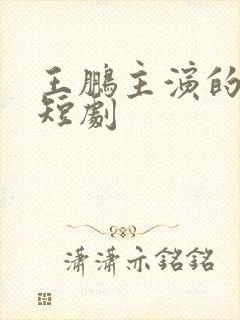 王鹏主演的所有短剧