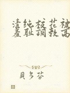 清纯校花被民工羞耻调教高h