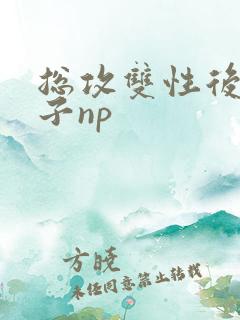 总攻双性后宫生子np