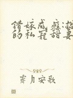 错嫁成瘾:总裁的私宠甜妻