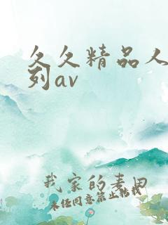 久久精品人妻系列av
