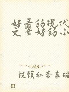 好看的现代言情文笔好的小说
