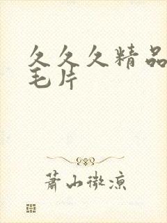 久久久精品国产毛片