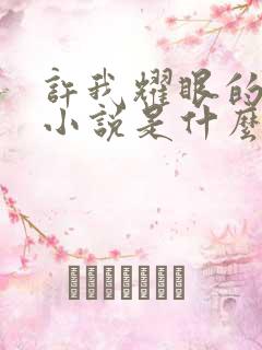 许我耀眼的原著小说是什么