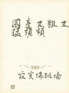 国产又粗又爽又猛视频