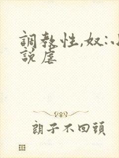 调教性,奴:小说虐