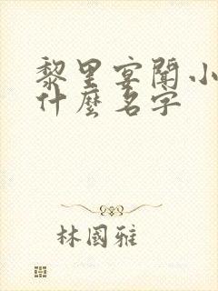 黎里宴闻小说叫什么名字