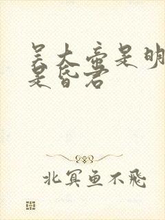 吴大帝是明君还是昏君