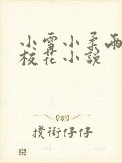 小雪小柔两个大校花小说