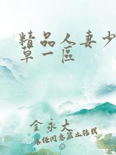 精品人妻少妇嫩草一区