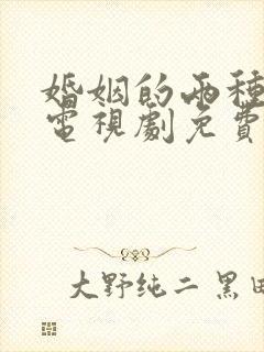 婚姻的两种猜想电视剧免费观看全集