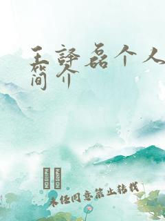 王译磊个人资料简介