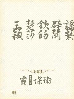 王楚钦辟谣和孙颖莎的关系