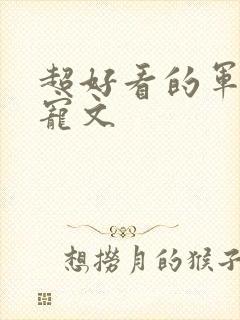 超好看的军婚甜宠文