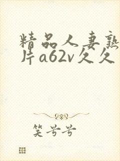 精品人妻熟女毛片a62v久久