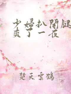 少妇扒开腿让我爽了一夜