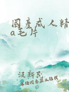 国产成人精品aa毛片