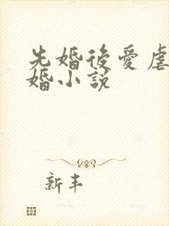 先婚后爱虐心军婚小说