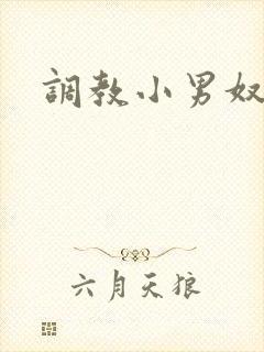 调教小男奴