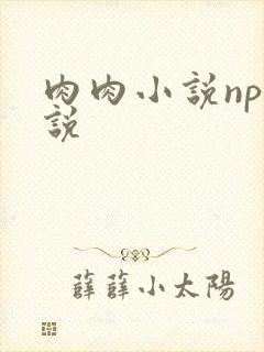 肉肉小说np小说