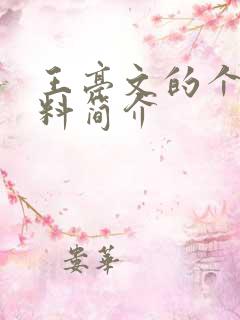 王亭文的个人资料简介