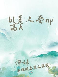 bl美人受np高h