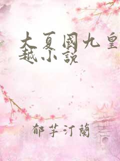 大夏国九皇子穿越小说