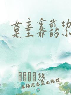 女主会武功男主是王爷的小说