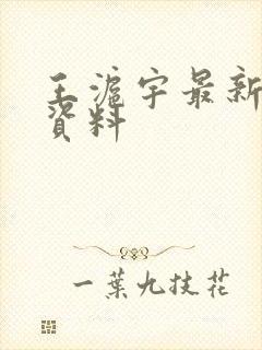 王沪宇最新简介资料