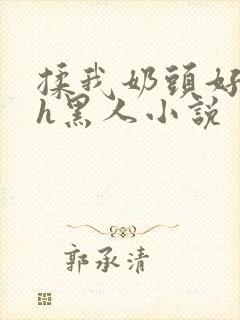 揉我奶头好爽嗯h黑人小说