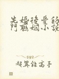 先婚后爱的双豪门联姻小说甜宠文