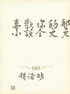 喜欢你的那十年小说全文免费阅读