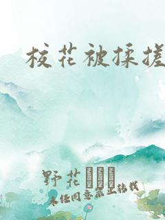 校花被揉搓双乳