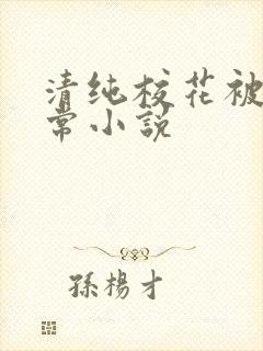 清纯校花被瘾日常小说