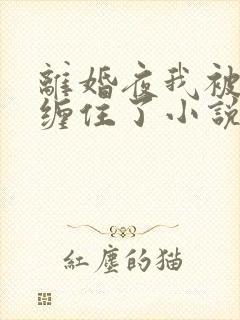 离婚夜我被前夫缠住了小说免费阅读