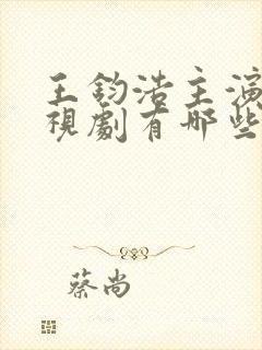 王钧浩主演的电视剧有哪些