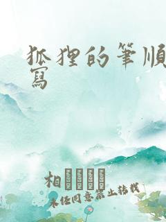 狐狸的笔顺怎么写