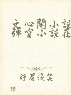 文心阁小说_无弹窗小说在线免费阅读
