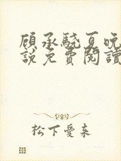 顾承骁夏晚宁小说免费阅读最新章节