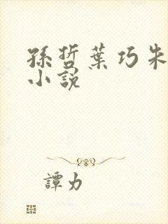 孙哲叶巧朱颜的小说