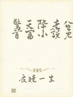 惊天降老公竟是首富小说免费观看